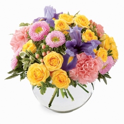 New Dream Bouquet<b> from Flowers All Over.com 